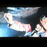 1608G 141 Blaubeuren Ur-Museum